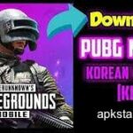 PUBG Korean Version